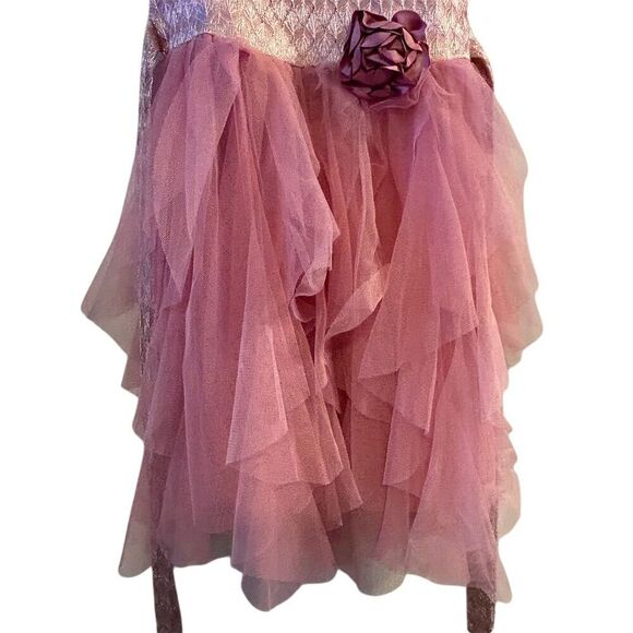 Biscotti Girls 4T Pink Tulle Ruffled Party Dress Sleeveless Knee Length - Picture 5 of 12